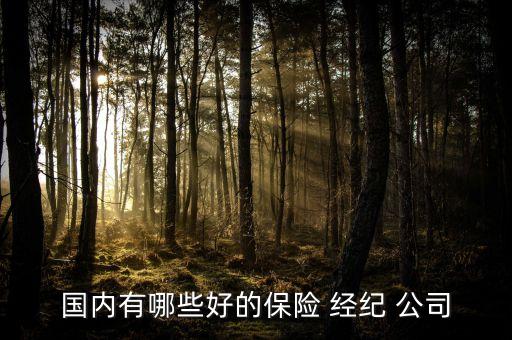 國內有哪些好的保險 經(jīng)紀 公司