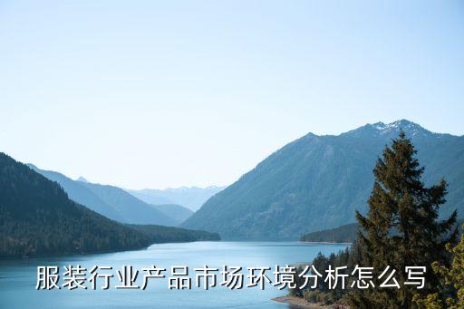 服裝行業(yè)產品市場環(huán)境分析怎么寫