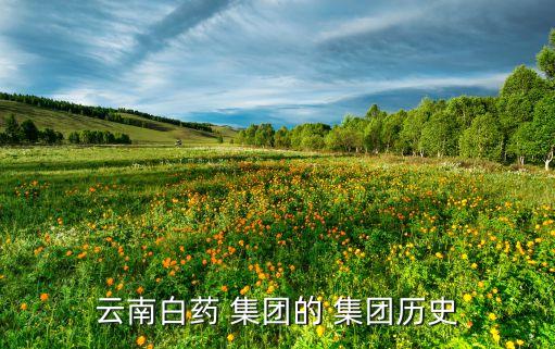 云藥集團有幾個公司