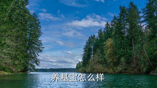 有沒有關(guān)于手機(jī)投資基金,投資基金有沒有門檻啊
