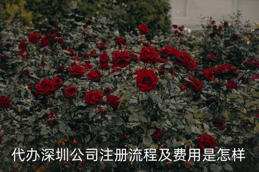 代辦深圳公司注冊(cè)流程及費(fèi)用是怎樣