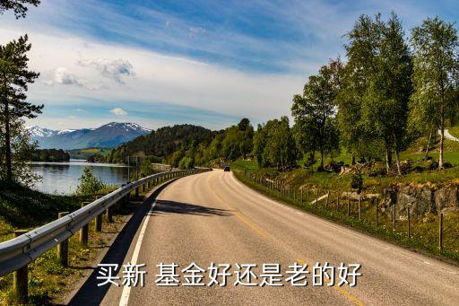 老基金還是新基金,天天基金網打新基金