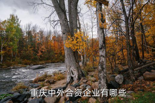 重慶雙遠集團股份有限公司,重慶太極實業(yè)(集團)股份有限公司