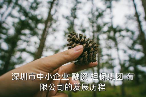 深圳市中小企業(yè) 融資 擔(dān)保集團(tuán) 有限公司的發(fā)展歷程