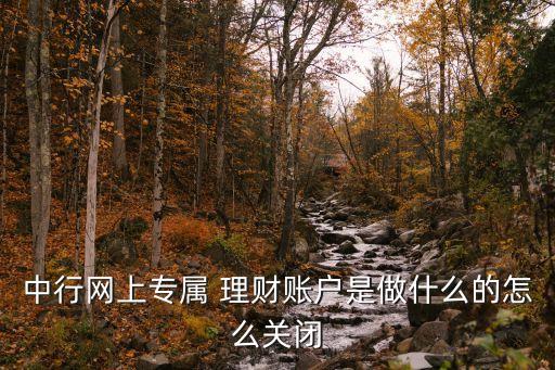 中行網(wǎng)上專屬 理財賬戶是做什么的怎么關閉