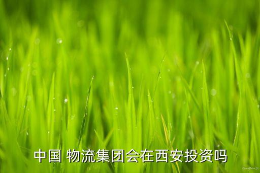 中國(guó) 物流集團(tuán)會(huì)在西安投資嗎