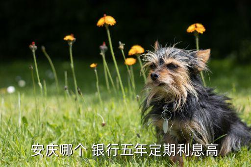 安慶哪個 銀行五年定期利息高