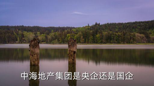 中海地產(chǎn)集團是央企還是國企