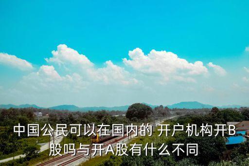 中國公民可以在國內(nèi)的 開戶機構(gòu)開B股嗎與開A股有什么不同