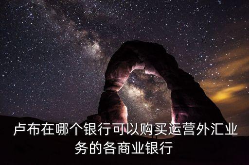  盧布在哪個(gè)銀行可以購(gòu)買(mǎi)運(yùn)營(yíng)外匯業(yè)務(wù)的各商業(yè)銀行