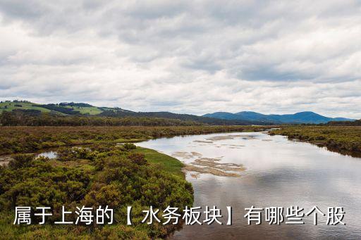 屬于上海的【 水務(wù)板塊】有哪些個股