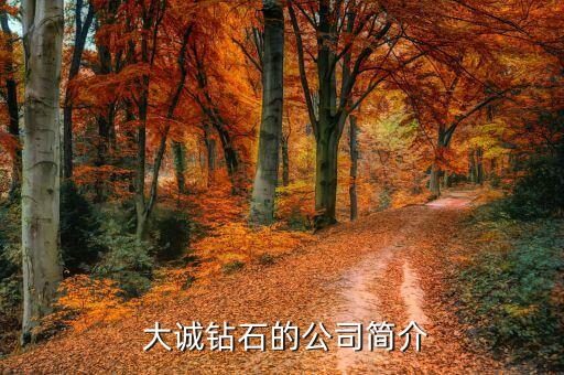  大誠(chéng)鉆石的公司簡(jiǎn)介