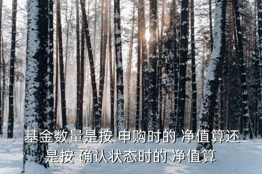  基金數(shù)量是按 申購時的 凈值算還是按 確認狀態(tài)時的 凈值算