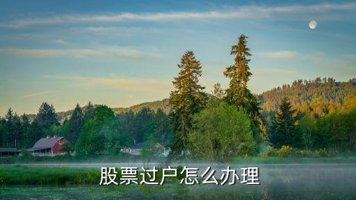 如何買(mǎi)記名股票,記名股票的特點(diǎn)不包括