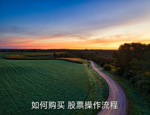 如何購(gòu)買 股票操作流程