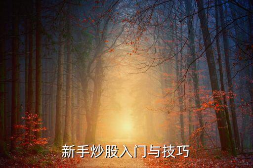 新手炒股入門(mén)與技巧