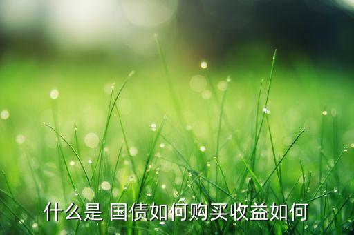 國(guó)債投資指要,美國(guó)國(guó)債投資方法