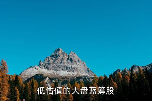 低估值的大盤藍籌股