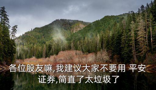 各位股友嘛,我建議大家不要用 平安 證券,簡(jiǎn)直了太垃圾了