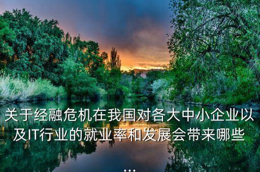 關(guān)于經(jīng)融危機(jī)在我國(guó)對(duì)各大中小企業(yè)以及IT行業(yè)的就業(yè)率和發(fā)展會(huì)帶來哪些...