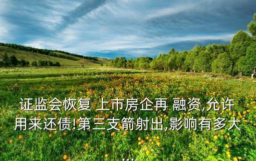 中國(guó)上市公司再融資