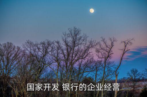 國(guó)家開發(fā) 銀行的企業(yè)經(jīng)營(yíng)