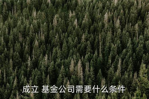 外資設(shè)立基金,外資基金公司進(jìn)入中國(guó)