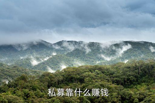 私募股權(quán)基金資金來(lái)源