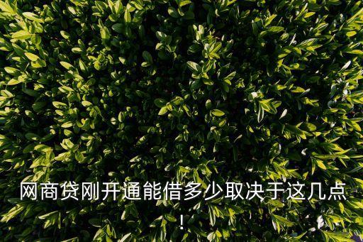  網(wǎng)商貸剛開通能借多少取決于這幾點!