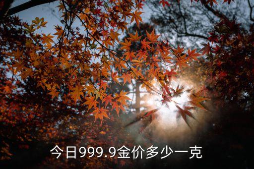 今日999.9金價(jià)多少一克