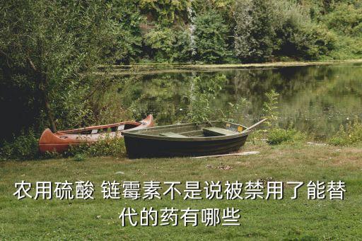 生產鏈霉素的上市公司,生產試劑盒的上市公司有哪些