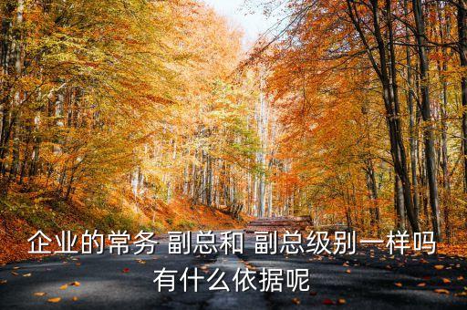 企業(yè)的常務(wù) 副總和 副總級(jí)別一樣嗎有什么依據(jù)呢