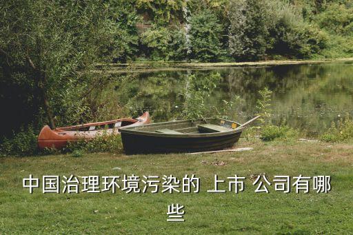 中國(guó)治理環(huán)境污染的 上市 公司有哪些