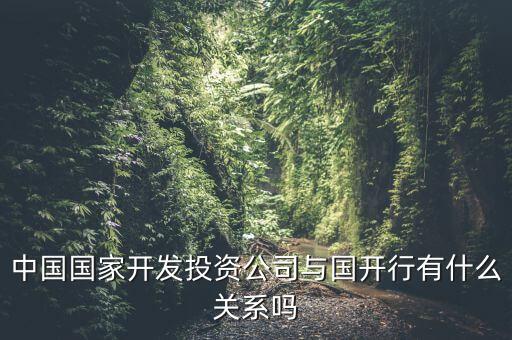 中國國家開發(fā)投資公司與國開行有什么關(guān)系嗎