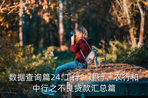 數(shù)據(jù)查詢篇24:工行、建行、農(nóng)行和中行之不良貸款匯總篇