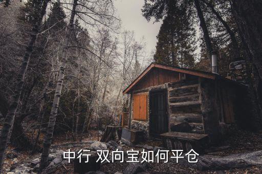 中國銀行雙向寶怎么操作
