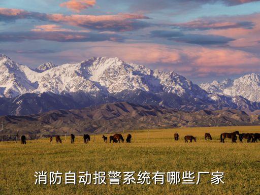 消防自動報(bào)警系統(tǒng)有哪些廠家