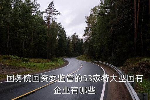 國(guó)務(wù)院國(guó)資委監(jiān)管的53家特大型國(guó)有企業(yè)有哪些