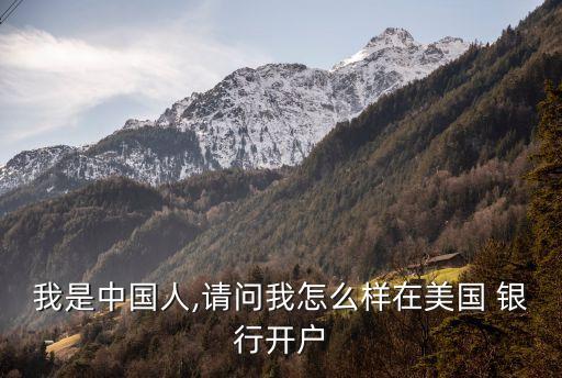 我是中國(guó)人,請(qǐng)問我怎么樣在美國(guó) 銀行開戶