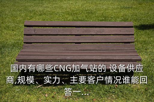 國(guó)內(nèi)有哪些CNG加氣站的 設(shè)備供應(yīng)商,規(guī)模、實(shí)力、主要客戶情況誰(shuí)能回答一...
