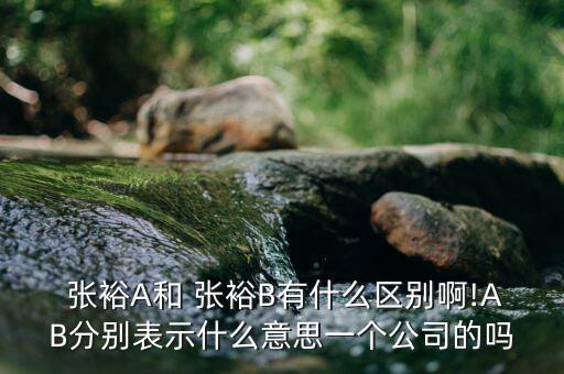 張裕a股票千股千評