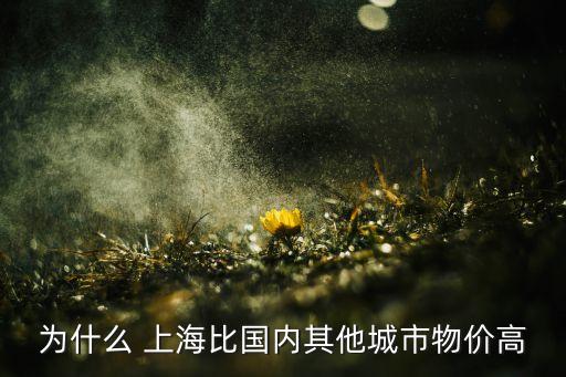 為什么 上海比國內(nèi)其他城市物價(jià)高