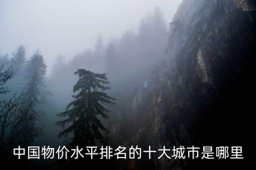 中國物價(jià)水平排名的十大城市是哪里