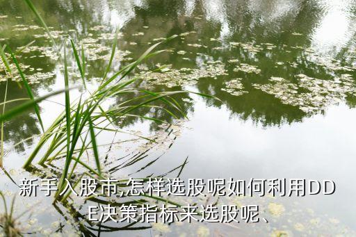 新手入股市,怎樣選股呢如何利用DDE決策指標(biāo)來(lái)選股呢、