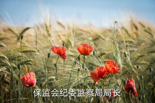 保監(jiān)會紀委監(jiān)察局局長