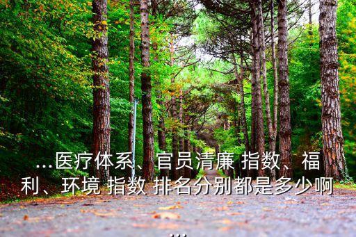 ...醫(yī)療體系、官員清廉 指數(shù)、福利、環(huán)境 指數(shù) 排名分別都是多少啊...