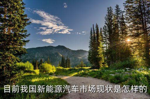 目前我國新能源汽車市場(chǎng)現(xiàn)狀是怎樣的