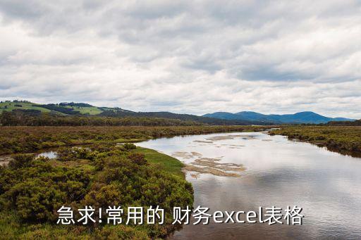 急求!常用的 財務excel表格