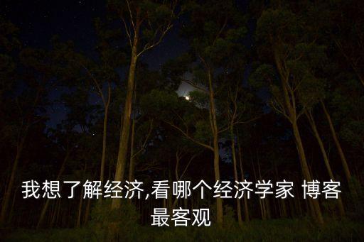 我想了解經(jīng)濟(jì),看哪個經(jīng)濟(jì)學(xué)家 博客最客觀