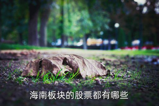 ?？诹_牛山小額貸款股份有限公司,海口農(nóng)工貿(mào)(羅牛山)股份有限公司